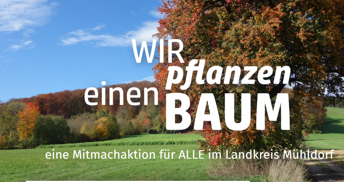 landkreisweite Baumpflanzaktion in Mühldorf