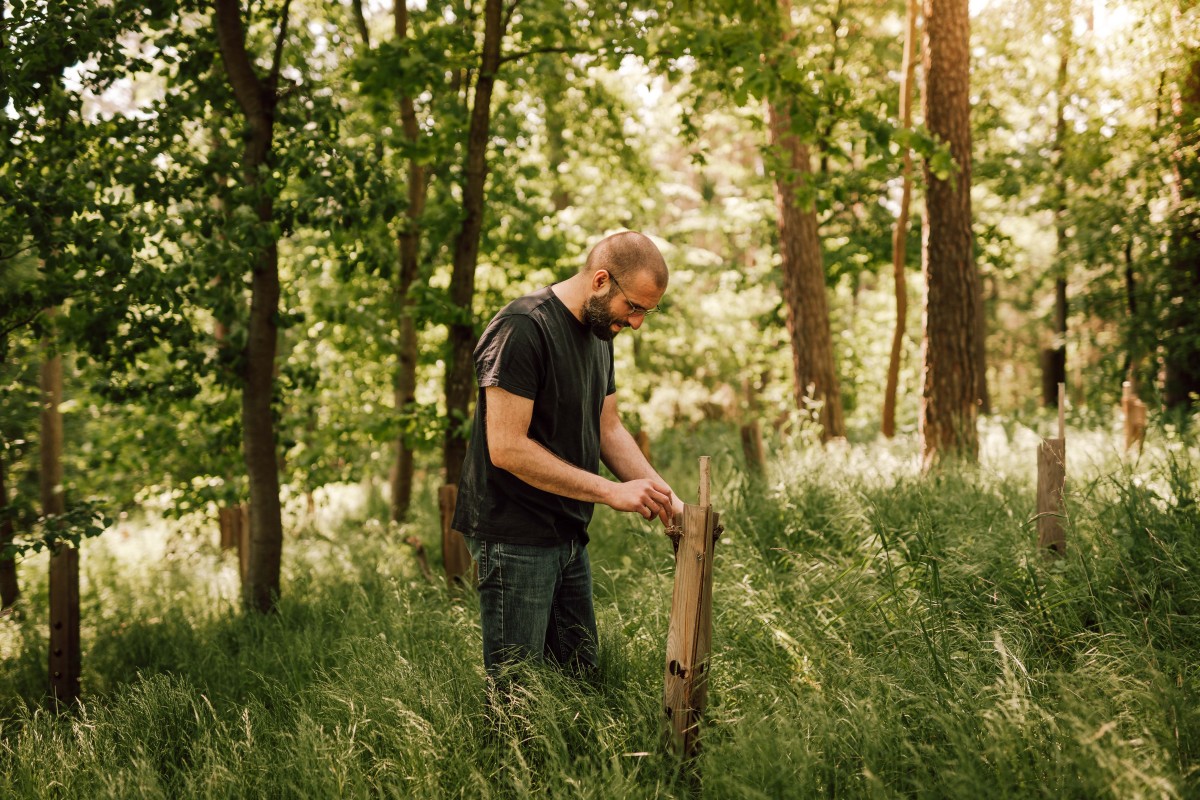 Stefan Klingner kontrolliert die Jungpflanzungen im Wald