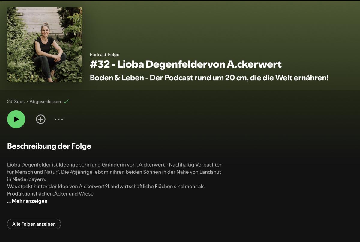 Spotify Oberfläche