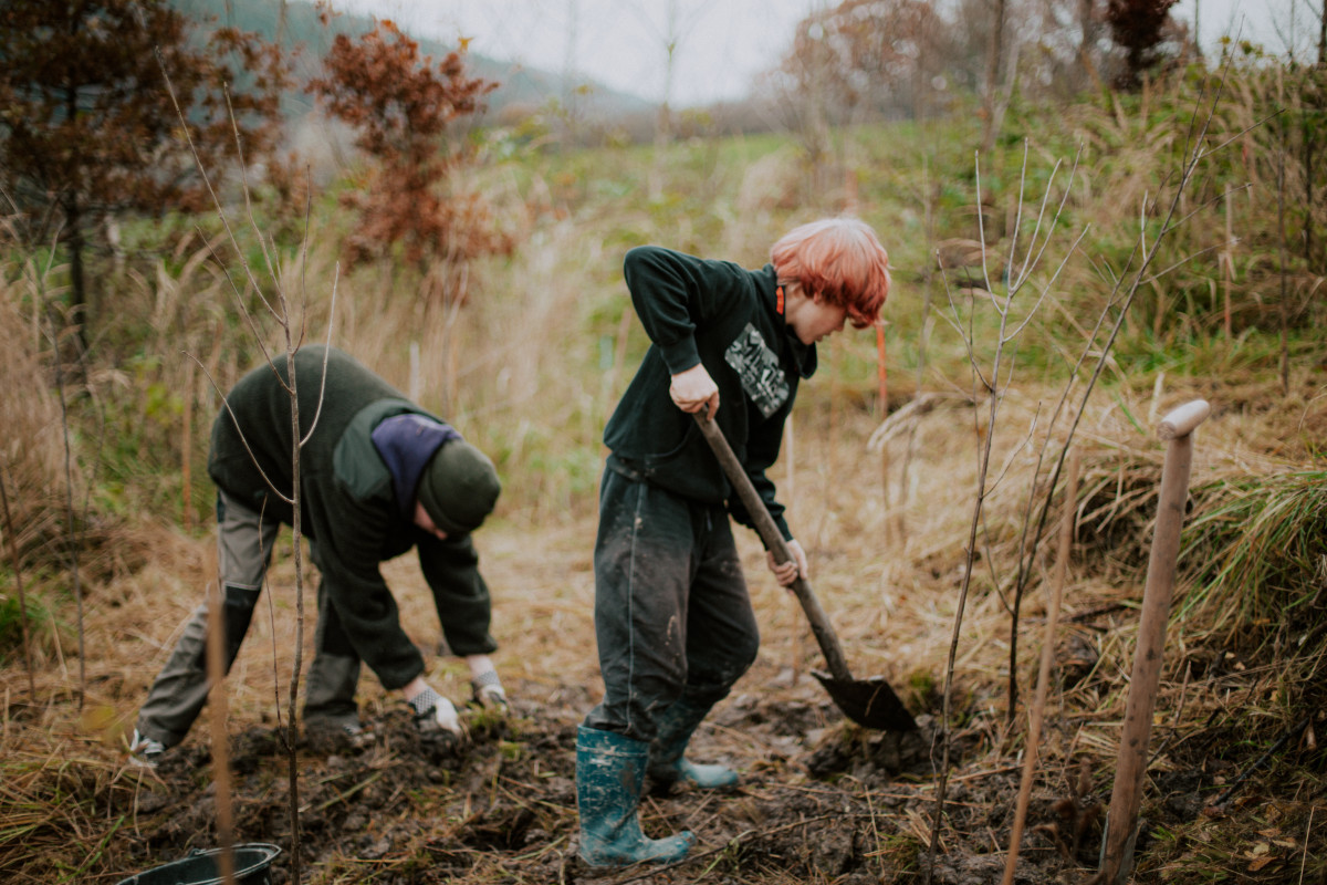 Zwei Personen bei der Arbeit im Wald