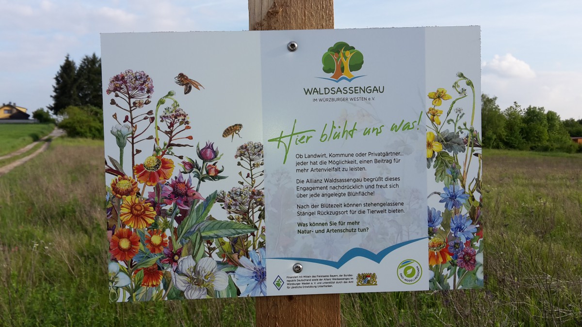 Mit insgesamt rund 18 Hektar neu angelegter Blühflächen punktet die Gemeinde Hettstadt am Internationalen Tag der Biodiversität