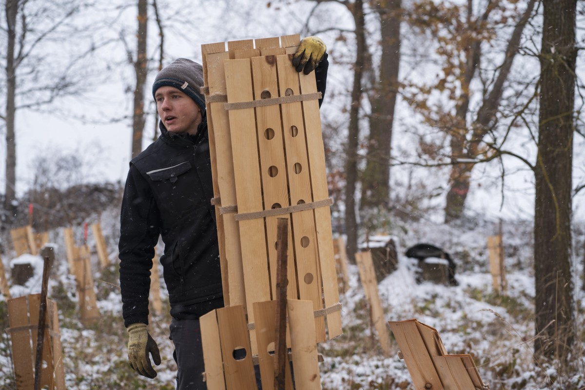 Mit der Hilfe Freiwilliger haben die TreePlantingProjects ein innovatives Pflanzkonzept umgesetzt.