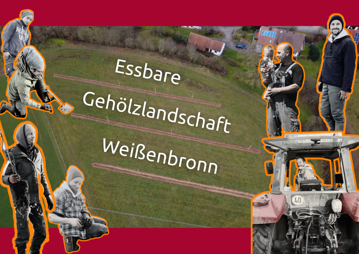 Collage der beteiligten Personen, als Hintergrund ein Luftbild der Fläche