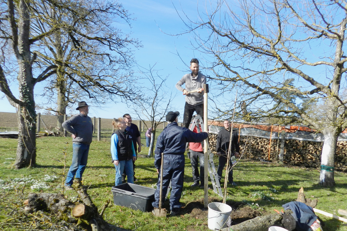 Pflanzaktion in Bachhagel