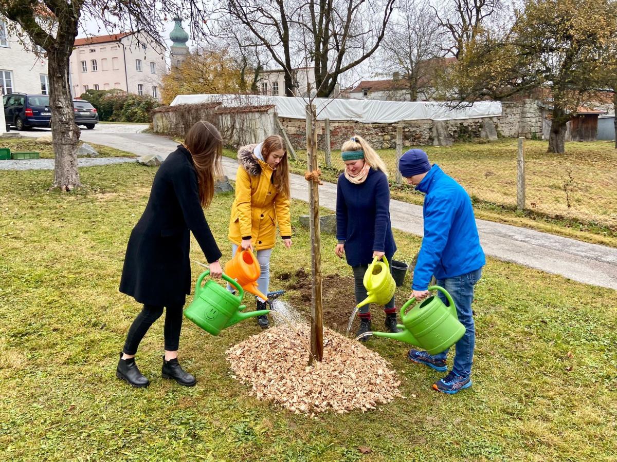 Jugendliche pflanzen einen Baum