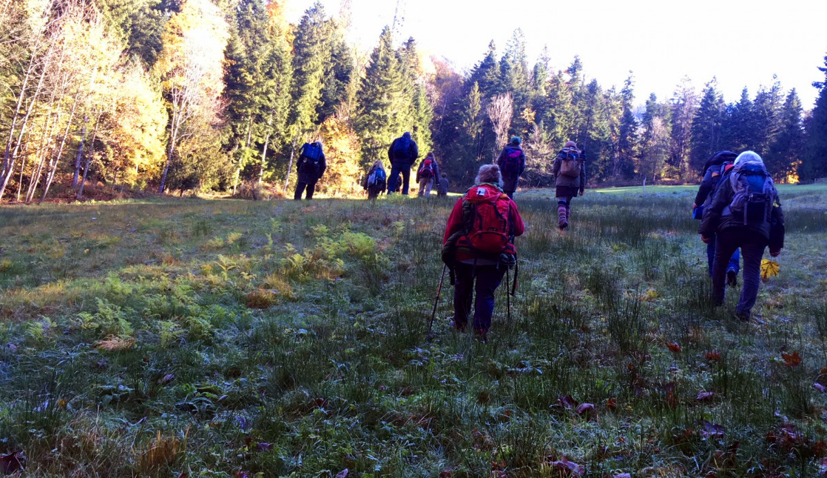 Auf dem Weg zu unseren "Sit-Spots" im Wald