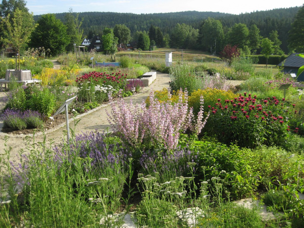 Der Duft- und Schmetterlingsgarten in Nagel