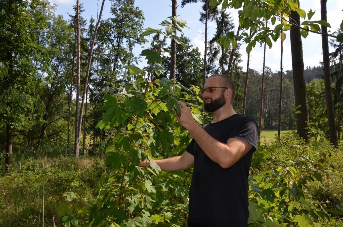 Stefan Klingner TreePlantingProjects