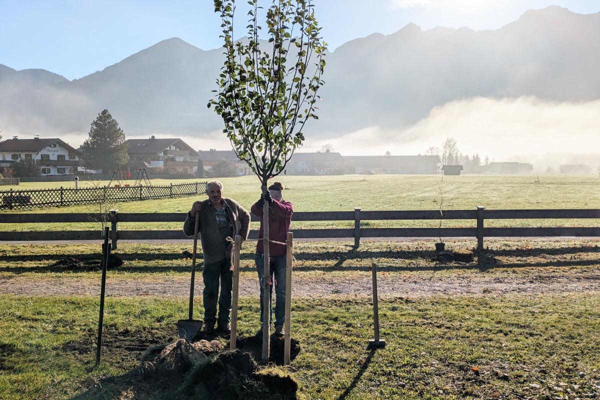 Zwei Personen stehen an einem Baum