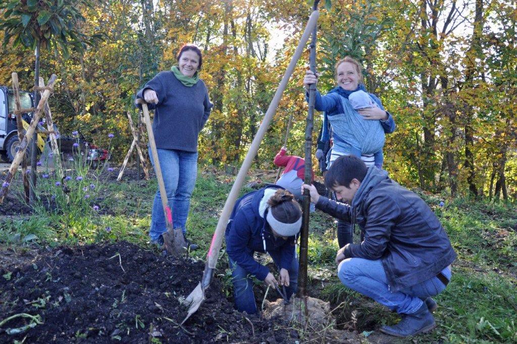 Junge Frauen pflanzen ihren Familienbaum in Frickenhausen