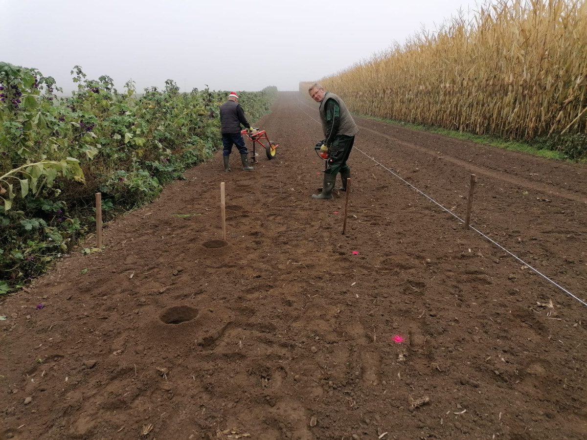 Josef Schwarzfischer (rechts) und ein befreundeter Landwirt bohren die Pflanzlöcher (Herbst 2021)