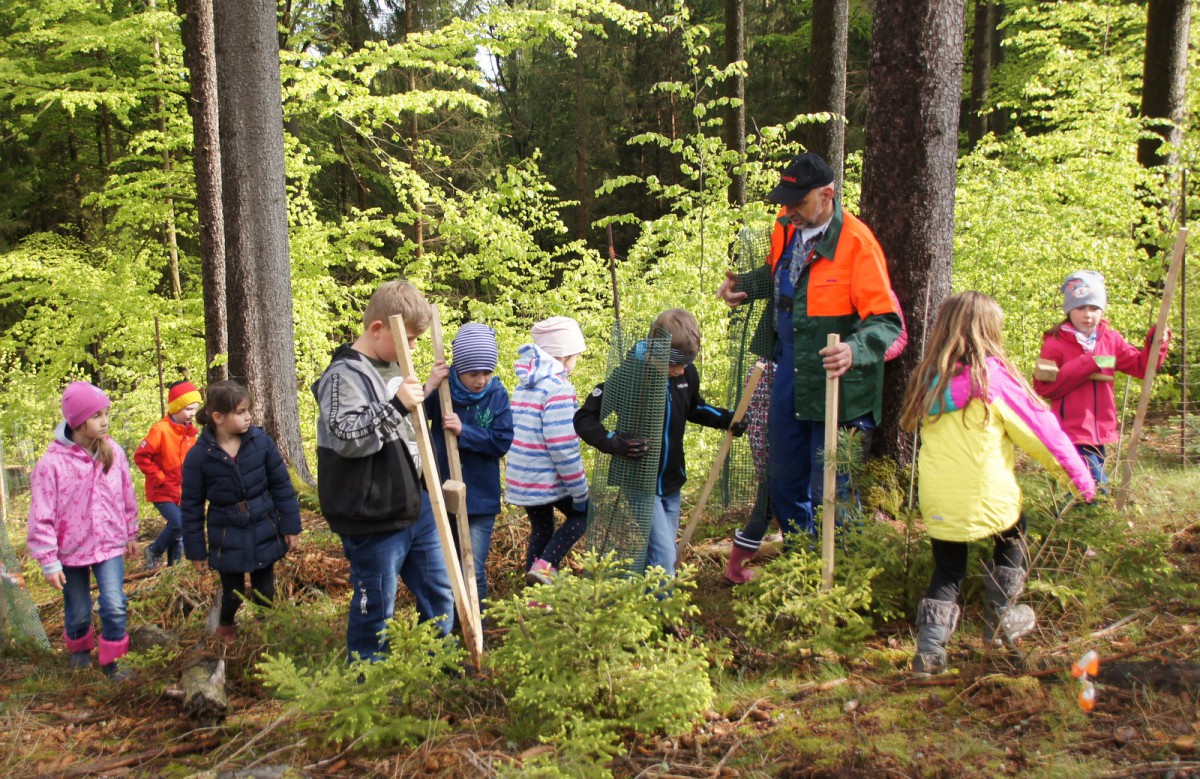 Bürgermeister Thomas Schwarzfischer zeigt den Kindern, die wie die Waldbäume richtig gepflanzt werden.  (Foto: Gemeinde Zell)
