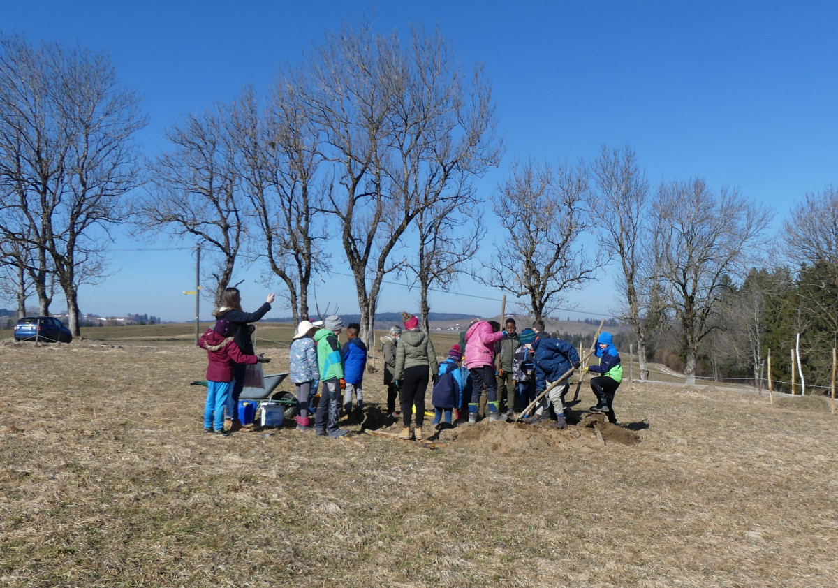 Die Kinder der Grundschule Bad Bayersoien halfen beim Pflanzen der Obstbäume.