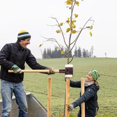 Zwei Teilnehmer schlagen die Stützen für einen Baum in den Boden