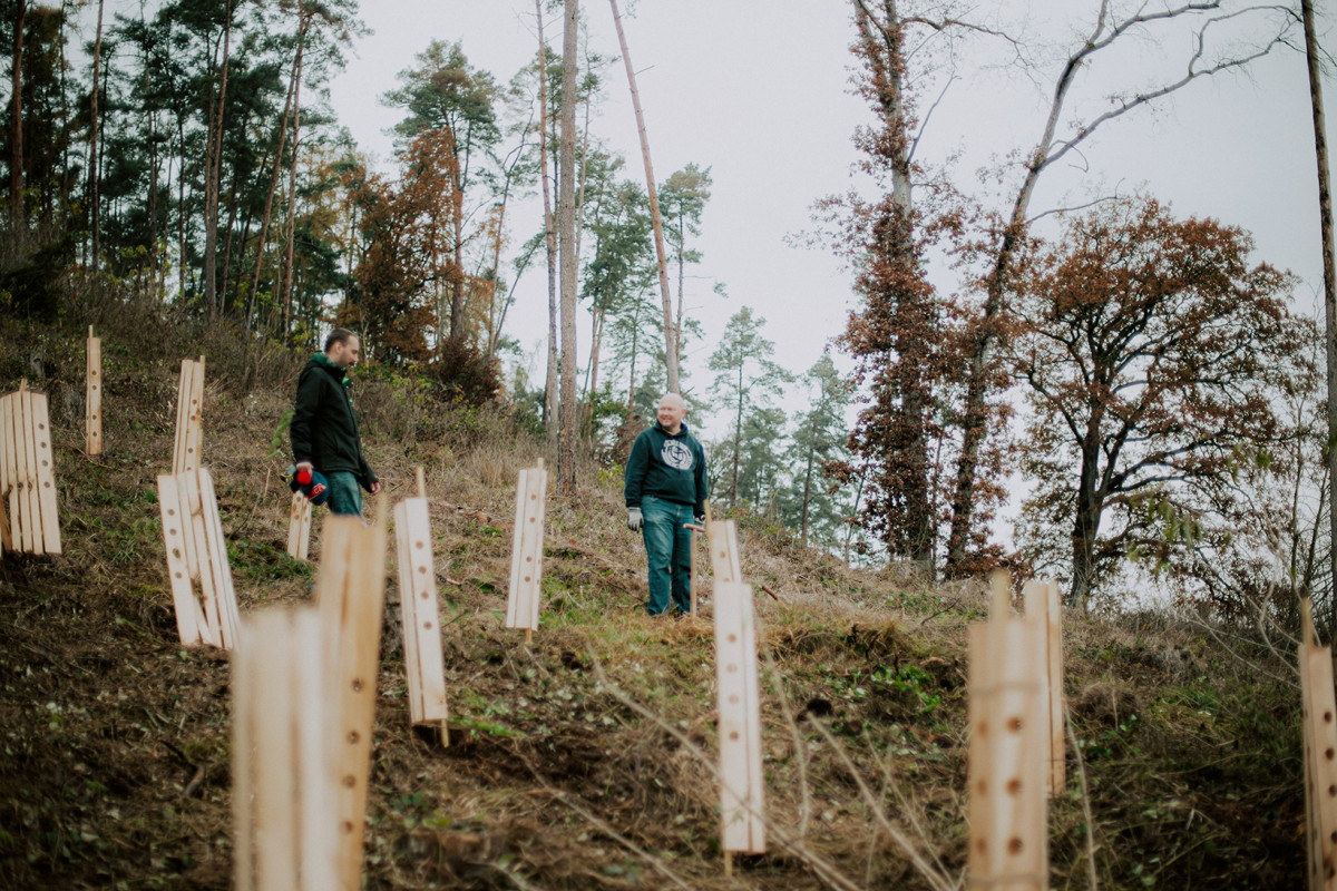 Menschen pflanzen Bäume im Wald