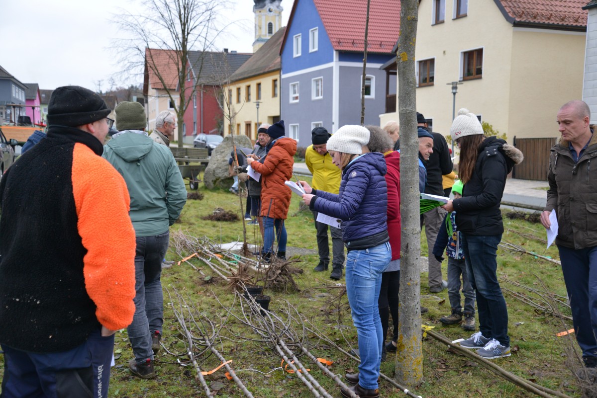 Viele Menschen stehen auf einer Fläche, vor ihnen liegen Pflanzen auf dem Boden.