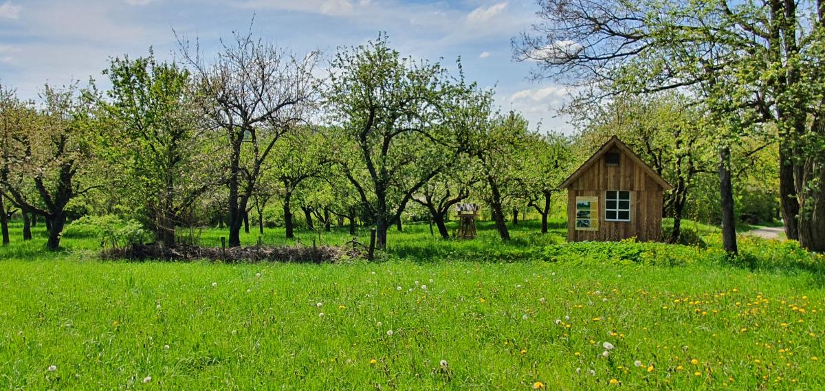 Bienenhaus auf der Streuobstwiese Hanseller Garten in Tännesberg