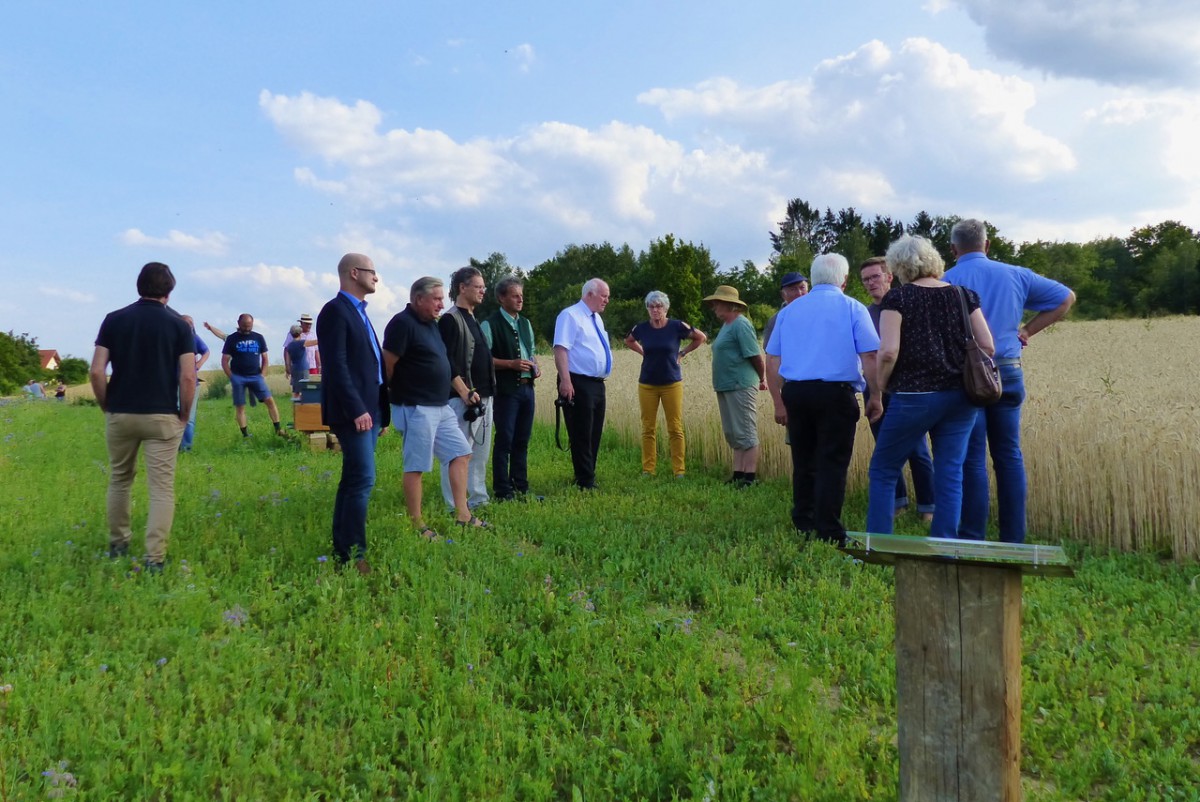 Das Interesse für den Infopfad in Teisbach durch eine Blühfläche ist groß